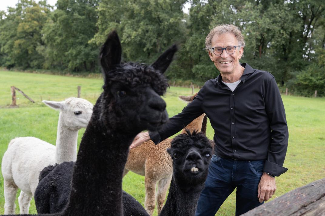 Gezicht achter de raad